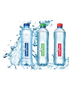 Chaudfontaine Gazeux 50CL PET 24x50cl 2