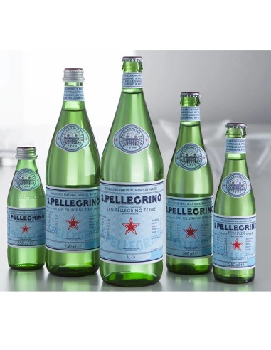 San Pellegrino 25CL VERRE 1X24