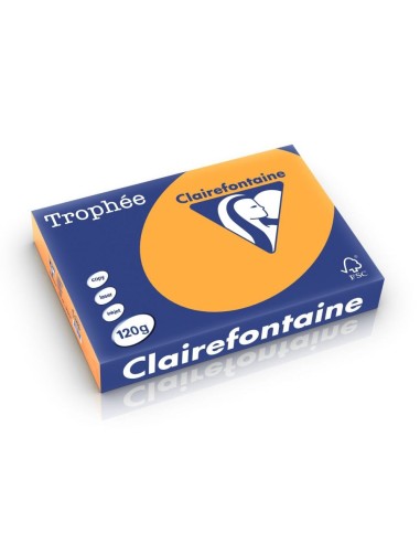 Clairefontaine A4 120GR Clémentine 1205