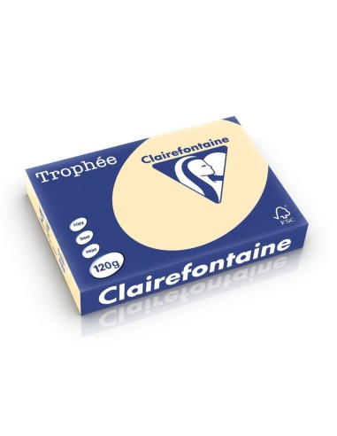 Clairefontaine A4 120GR Chamois 1203