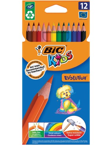 Crayons Bic 12PCS