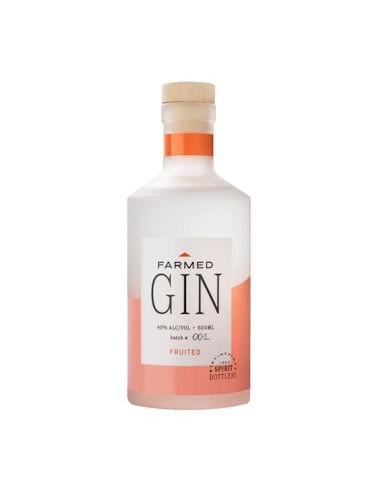 Gin Fruited 50CL VERRE-1X