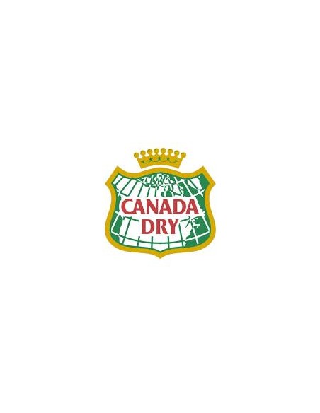 CANADA DRY SLEEK CANS 33CL - 4X6