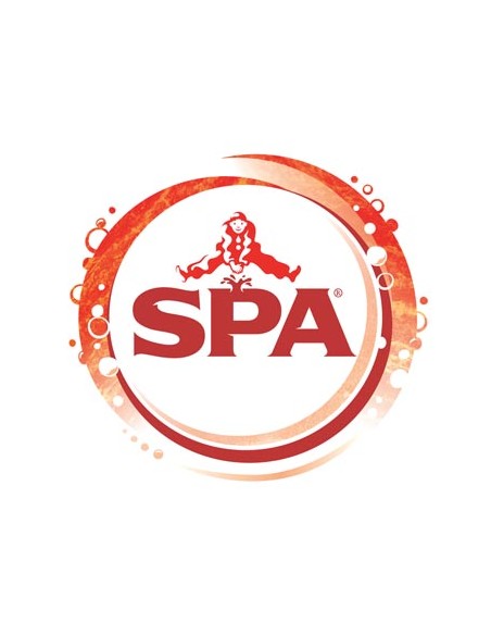 SPA FRUIT SPARKLING GRENADINE PET 40CL - 4X6