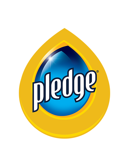 Pledge bois spray 250 ml