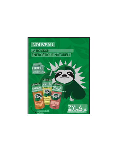 ZYLA FOCUS CITRUS CANS 25CL (1X4)