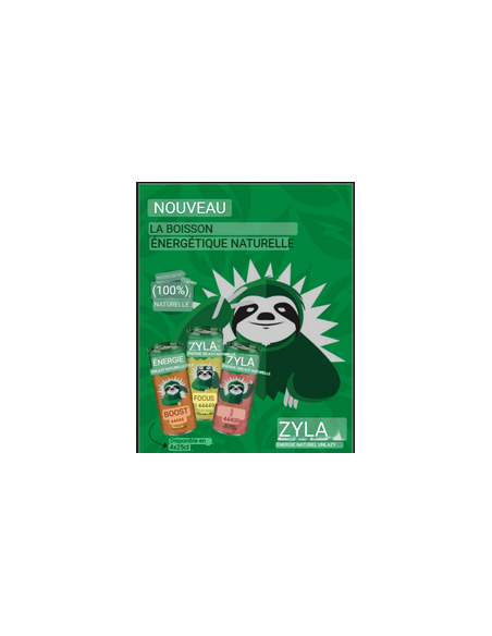 ZYLA RED FRUITS CANS 25CL (1X4)