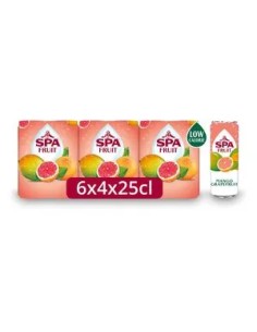 SPA FRUIT Mango Grapefruit Cans 25CL-1X24PCS