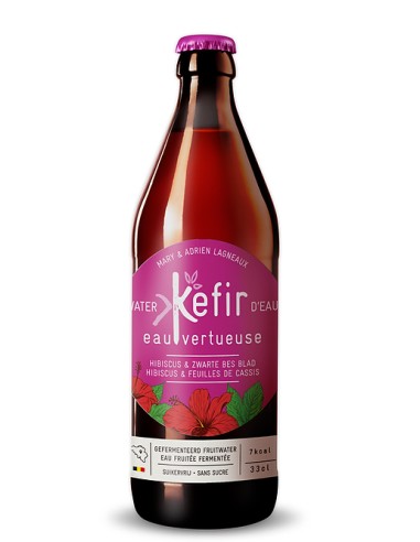 KEFIR DE FRUITS HIBISCUS & FEUILLES DE CASSIS - 330 Ml-1X