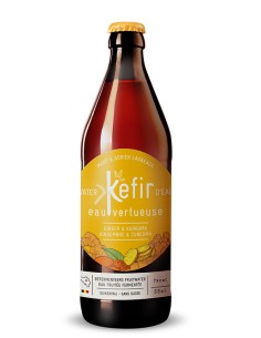 KEFIR DE FRUIT GINGEMBRE &CURCUMA - 330 Ml-1X