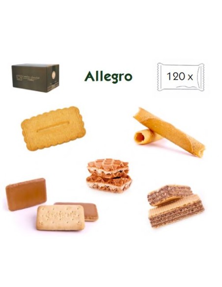 Assortiment ALLEGRO 120 PCS-1X