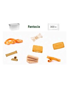 BOX ASSORTIMENT PREMIUM  300pcs-1X