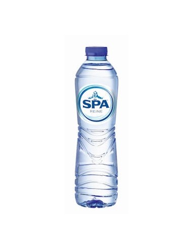 Spa Reine 50CL PET 24x50cl