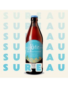 KEFIR DE FRUITS FLEURS DE SUREAU - 330 Ml-1X