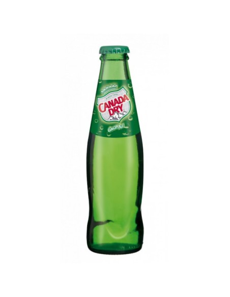 Canada Dry 20CL VERRE 24x20cl