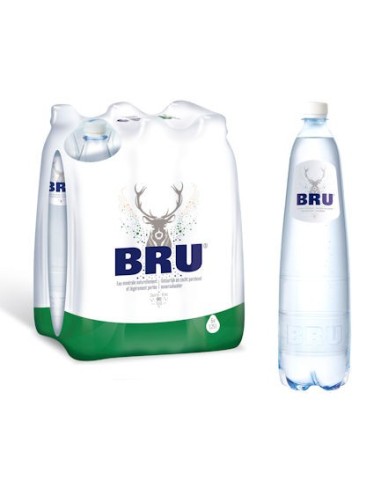 Bru Maxi  1,25L PET 2x6