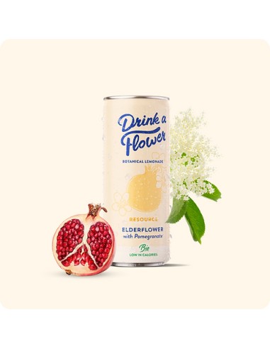 Drink a Flower Fleur de sureau & Citron vert 12X25CL