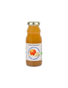 PAJOTTENLANDER Jus de pomme-gingembre 0,2L -1x24