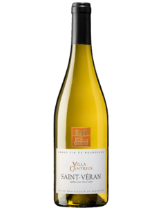 copy of Chablis Domaine du Chardonnay