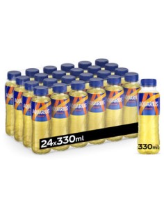 AQUARIUS ORANGE PET 33CL - 1X24PCS