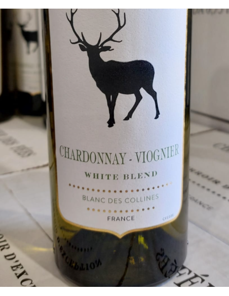 CHEVALIER DES FEES BLANC VIOGNER-1X