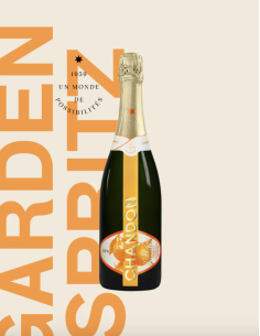 Moët & Chandon Garden Spritz 75 cl -1x