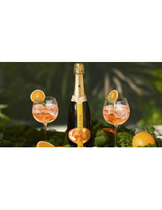 Moët & Chandon Garden Spritz 18.75 cl -1x 2