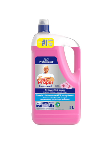 Mr.Propre Cerises 5 LITRES - 1X