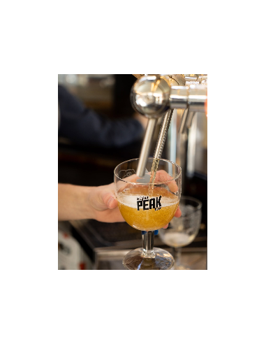 PEAK Clip Discovery 33Cl (1X4bts)