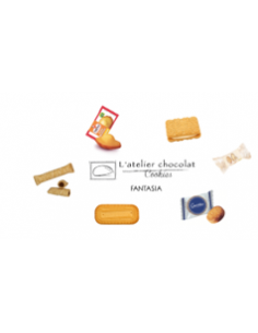 BOX ASSORTIMENT FANTASIA -300 PCS-1X