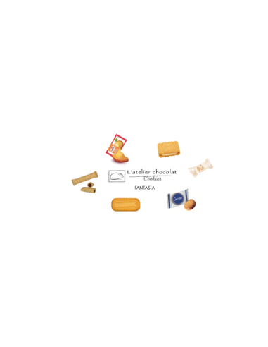 BOX ASSORTIMENT FANTASIA -300 PCS-1X