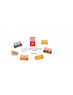 BOX ASSORTIMENT PREMIUM 300PCS-1XPCS 2