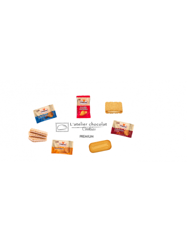 BOX ASSORTIMENT PREMIUM 300PCS-1XPCS