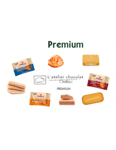 BOX ASSORTIMENT PREMIUM 300PCS-1XPCS