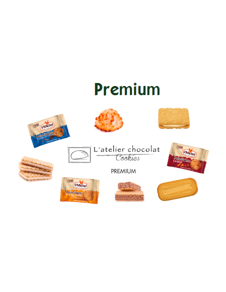 BOX ASSORTIMENT PREMIUM 300PCS-1XPCS
