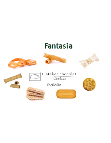 BOX ASSORTIMENT FANTASIA -300 PCS-1X