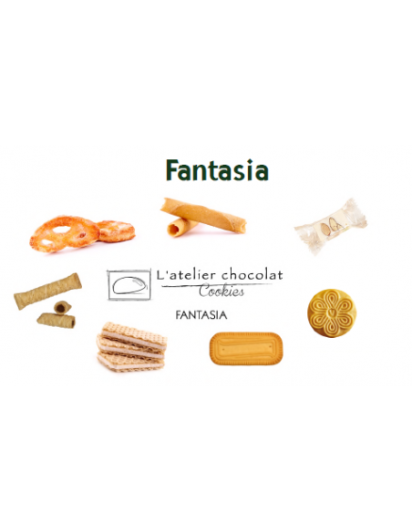 BOX ASSORTIMENT FANTASIA -300 PCS-1X