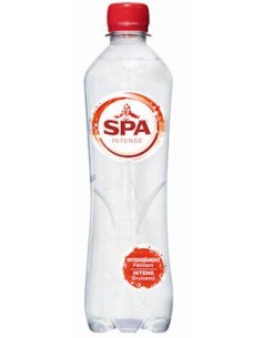 Spa Intense 50CL PET 24x50cl
